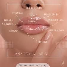 Anatomia e Fisiologia dos Lábios